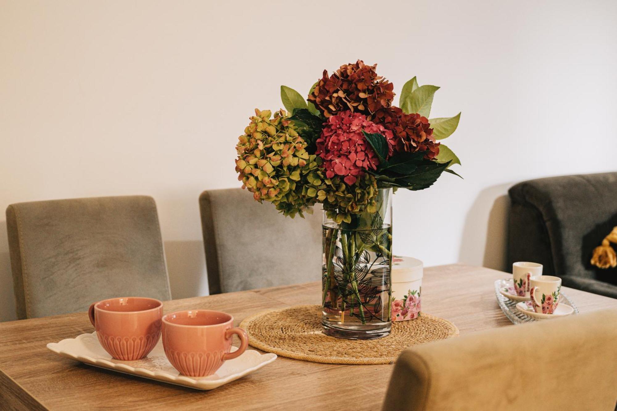Valerija Apartment Doboj